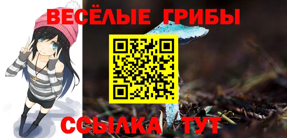 Псилоцибиновые грибы MAGIC MUSHROOMS  Вход с VPN  Псилоцибиновые грибы Magic Shrooms  Санкт-Петербург 