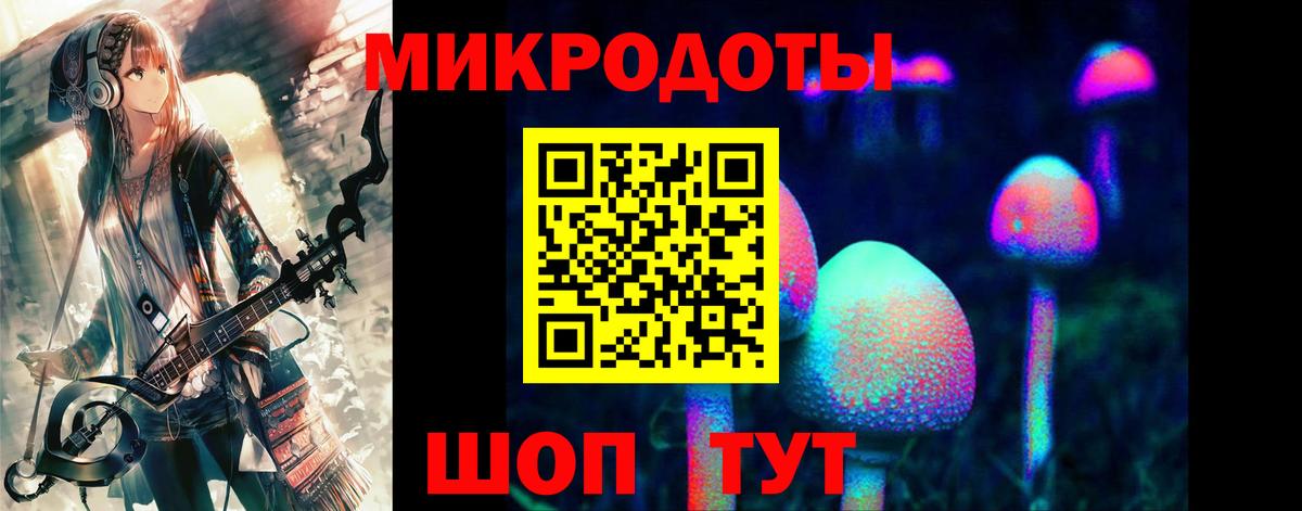 Галлюциногенные грибы прущие грибы Санкт-Петербург
